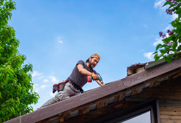 Best Steel Roofing  in Whiskey Creek, FL